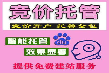 SEM推广案例：转化率提升策略